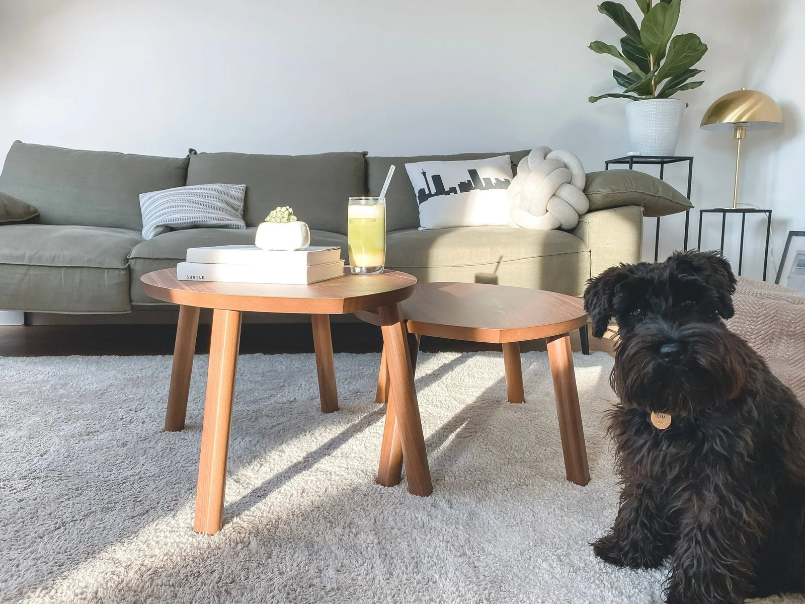 Carpet Care: How to get a Non-Toxic Refresh