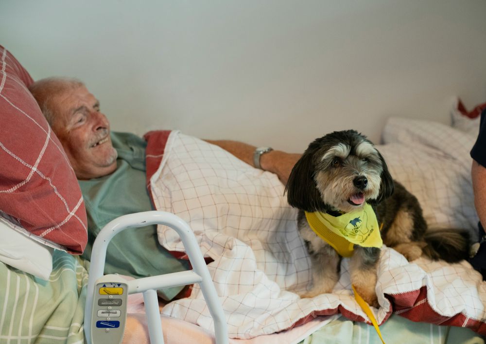 Taking care of loved ones at home in difficult air quality environments