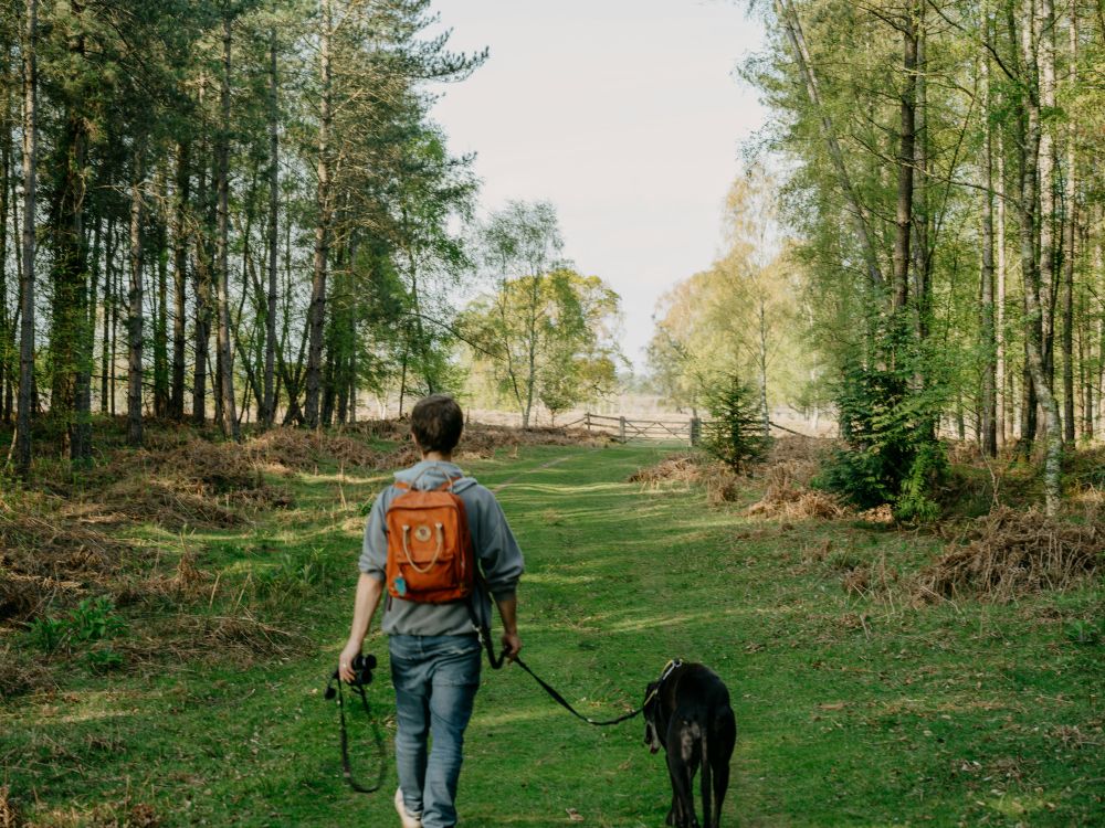 The pesticides used outside your home find their way inside