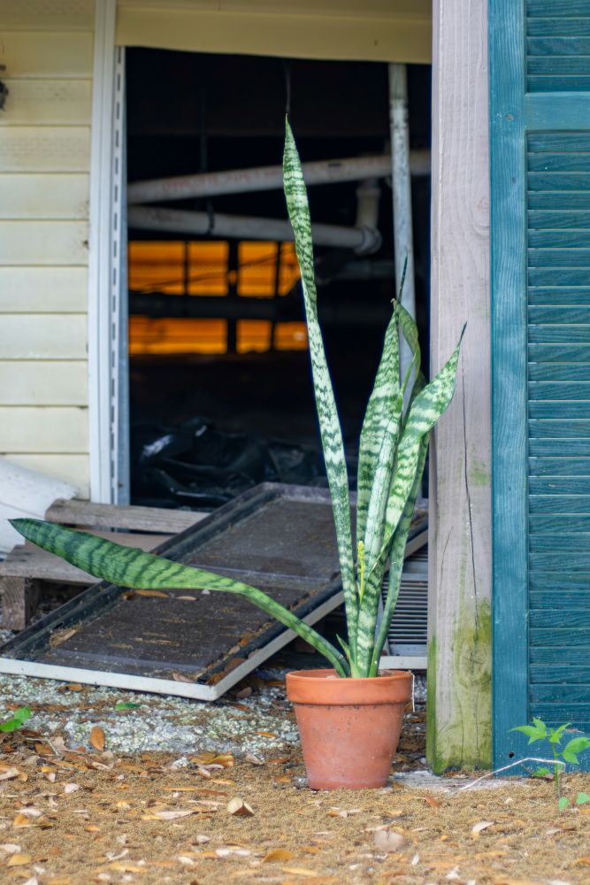 Working from the “Ground Up” to Renovate Your Air Quality