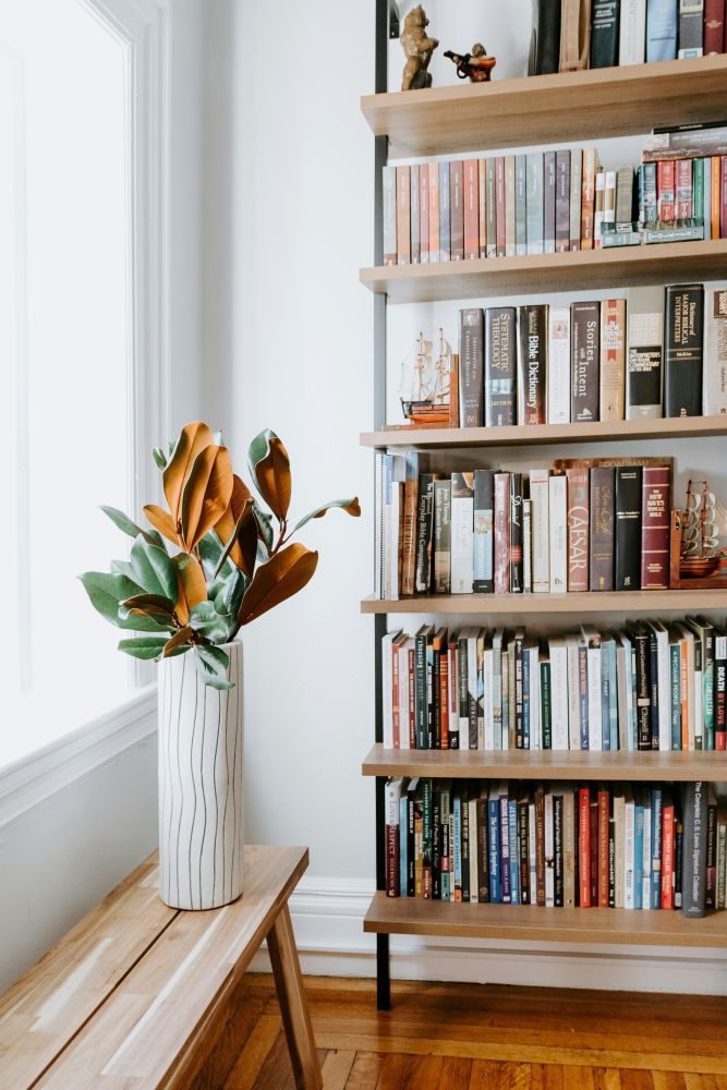Are you a Bibliophile?  Read on for how to keep your books (and home) the healthiest!