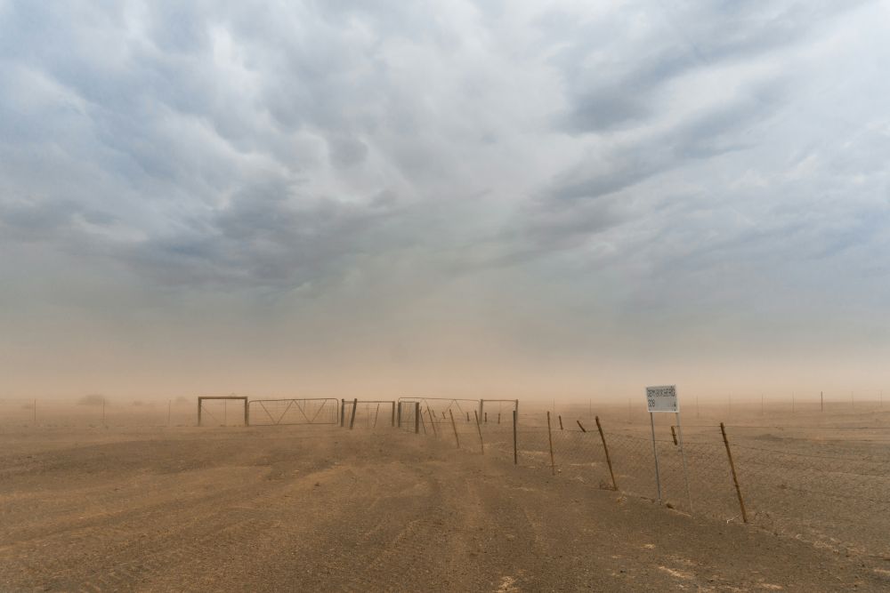 What are Fungal Storms?