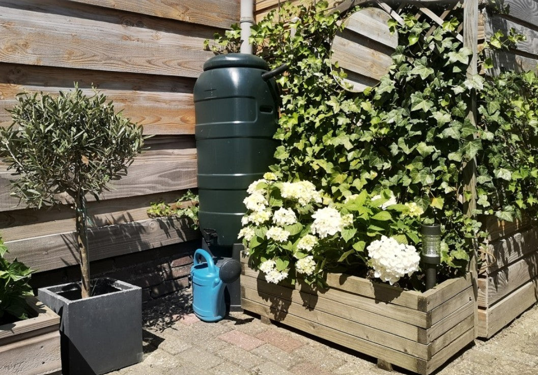 Do you have flooding on the property around your home?  Transform it to make your home safer and healthier