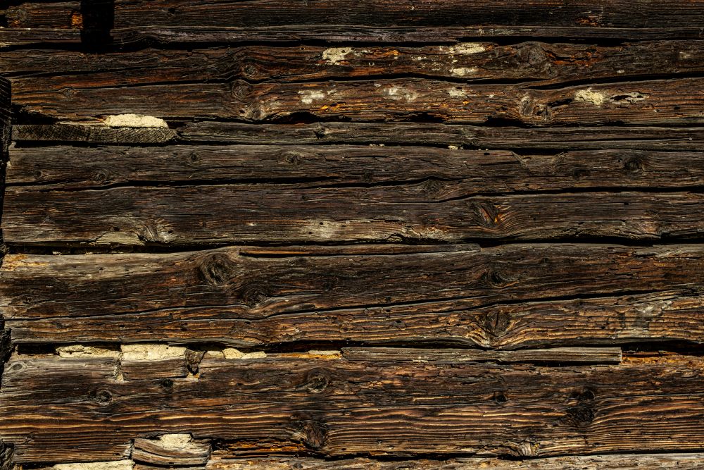 What is treated lumber treated with, anyway?