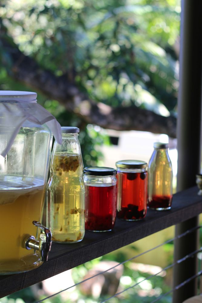 Having gut issues?  Before consulting your physician, try purifying the air you’re breathing