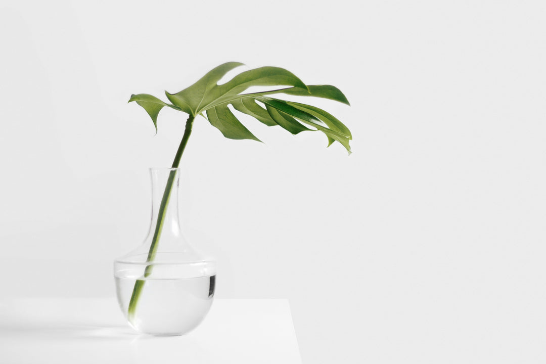 How Minimalism Makes a Healthy Environment for Living