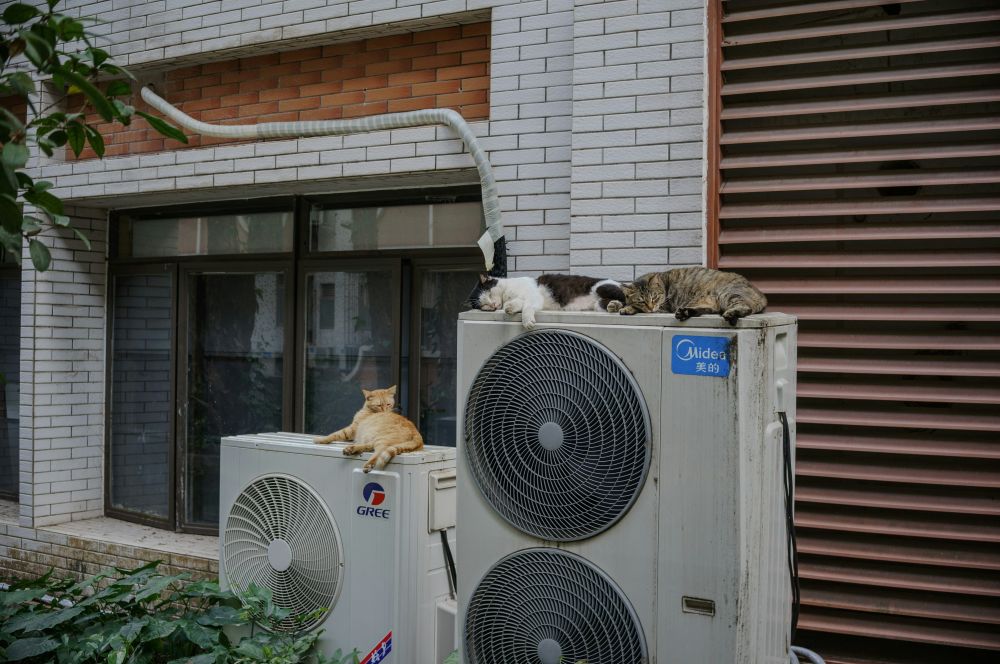 What are Air to Water Heat Pumps and how do they compare to Air to Air Heat Pumps?