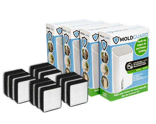 Boxes of Mold Guard