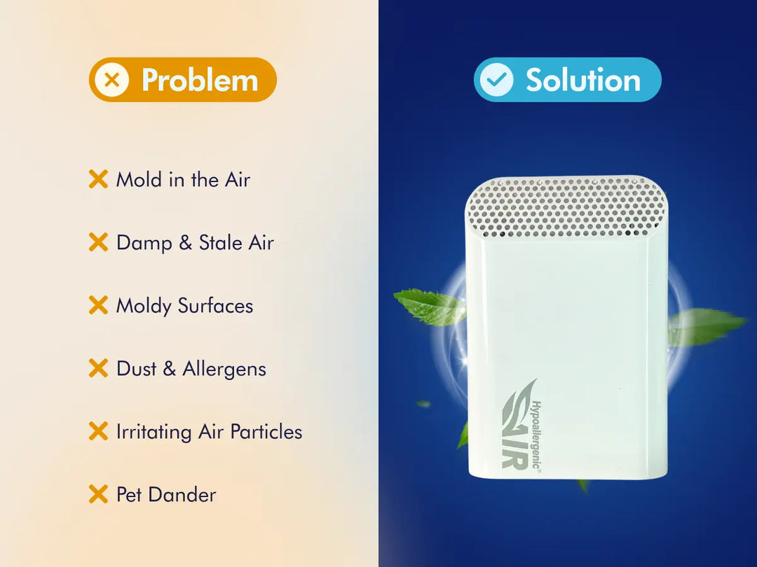 Mold Guard
