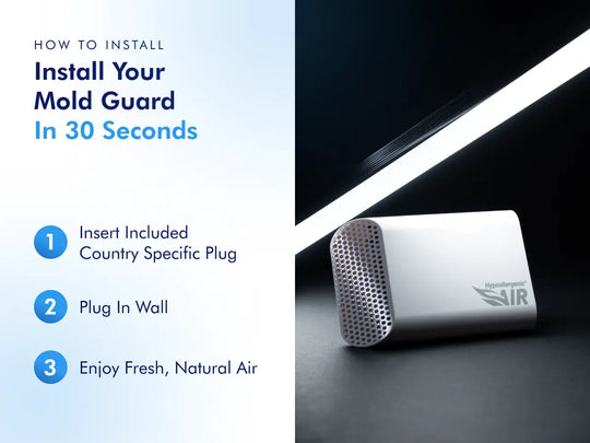 Mold Guard