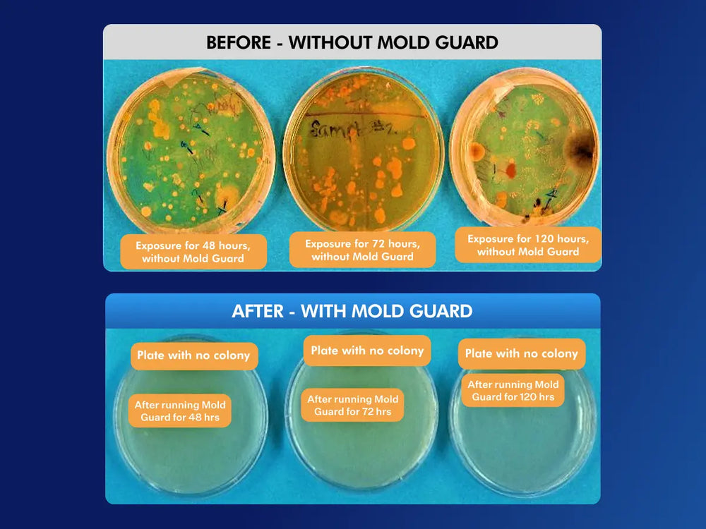 Mold Guard